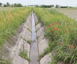 5 milioni per migliorare i canali