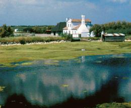 &ldquo;Serve un cambio di guida&rdquo;