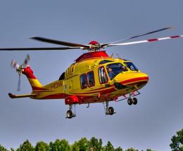 Mano straziata nel tritacarne