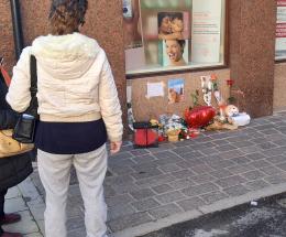 Gatto Rossini come una rockstar