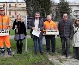 Le piante arrivano nelle case