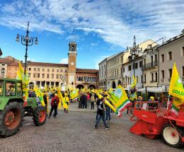 Le eccellenze del Polesine protagoniste oggi ai Giochi