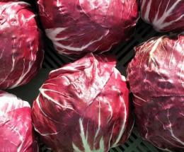 Il radicchio star della tv