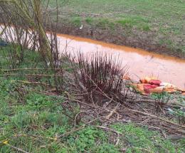 Il fossato &egrave; arancione: allarme
