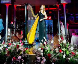 L&rsquo;arpa di Caterina Bergo al gal&agrave; 