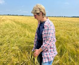 &ldquo;Soia, mais e grano: prezzi ridicoli&rdquo;