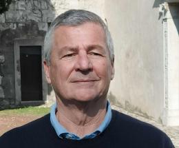 &ldquo;Frena il camper, pioppo in crisi&rdquo;