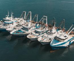 &ldquo;Pi&ugrave; tutele per gli operatori del mare&rdquo;