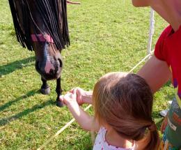 Coldiretti medaglia d&rsquo;oro di inclusione 