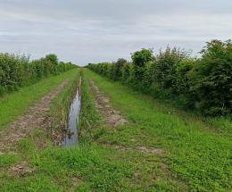 Polesine laboratorio di biodiversit&agrave;