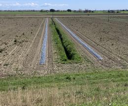 L&rsquo;agricoltura protegge le sponde