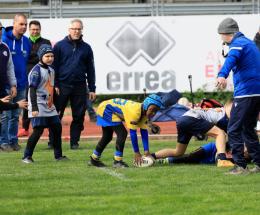 Frassinelle a pieno regime