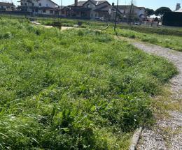 &ldquo;Verde, aree in preda all&rsquo;incuria&rdquo;