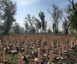 Pi&ugrave; natura nell&rsquo;alveo del Po