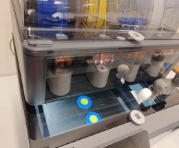 Lavoro, sguardo verso il futuro