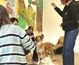 Gli animali contro l&rsquo;autismo