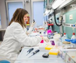 Capitale di studi e della ricerca