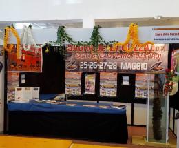 &ldquo;Soldi per la sagra&rdquo;: scoppia il caso