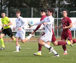 Adriese retrocessa, &egrave; ufficiale