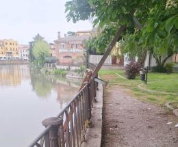 Vandali strappano via la panchina