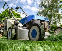 Verde, pulizie di primavera