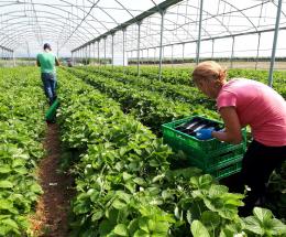 A sostegno dell&rsquo;agricoltura locale
