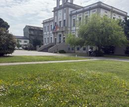 Sfalcio dell&rsquo;erba a met&agrave; 