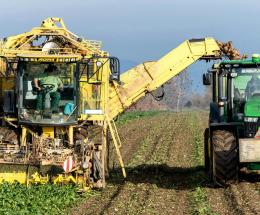 Crisi zucchero, via al ricollocamento