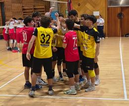 Tumbo rullo compressore