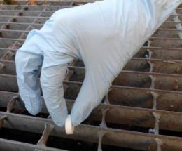 &ldquo;Ognuno deve fare la sua parte&rdquo;