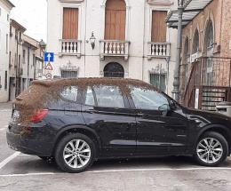 Uno sciame d&rsquo;ami ricopre un&rsquo;auto