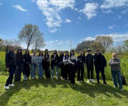 Api, esempio di cooperazione