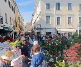 &ldquo;Adria in fiore&rdquo; pronta a sbocciare