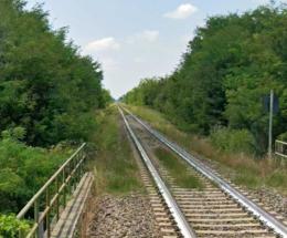 Un&rsquo;altra mattanza di alberi