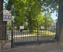  "Basta abbattere alberi"