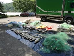 "Pesca di frodo, nessuno male come il Veneto"