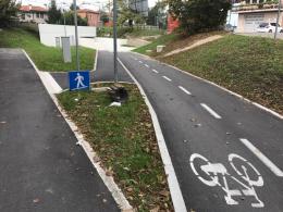 Poche piste ciclabili, aria inquinata, raccolta dei rifiuti da migliorare, aspettativa di vita inferiore e poco verde urbano per i cittadini
