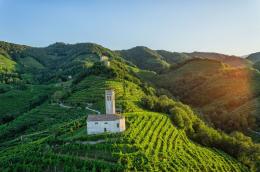 Prosecco e bio-erbicidi, presto una nuova innovativa collaborazione