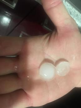 Tempesta di grandine sulle colture, è allarme