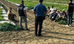 Lavoratori schiavi, carcere per i caporali