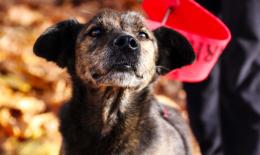 Una festa tutta loro