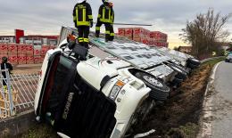 Tir camion di maiali si ribalta