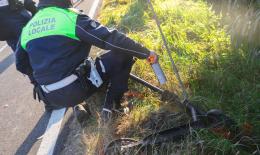 Schianto in monopattino, giovane ferito e indagini