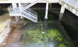 Un nuovo acquitrino all&rsquo;ex Le Torri