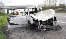 Paura per un'auto in fiamme in Transpolesana