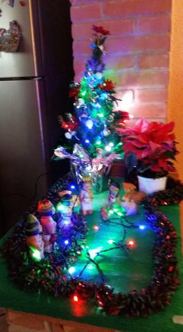 Immagini Alberi Di Natale Bellissimi.Ecco I Vostri Alberi Di Natale Grandi Piccoli Originali E Tutti Bellissimi Foto 1 Di 27 La Voce Di Rovigo