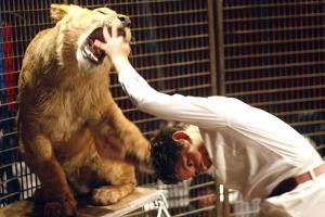 Il circo e gli animali: ma voi siete favorevoli o no all'utilizzo di animali ammaestrati negli spettacoli del circo?