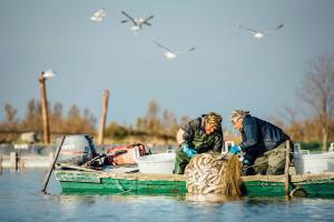 Salvare i delfini o salvare i pescatori?