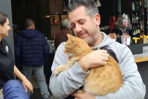 Anche Gatto Rossini in attesa di Corona