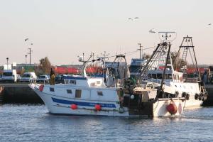 "Pesca in ginocchio, il Governo non aiuta"